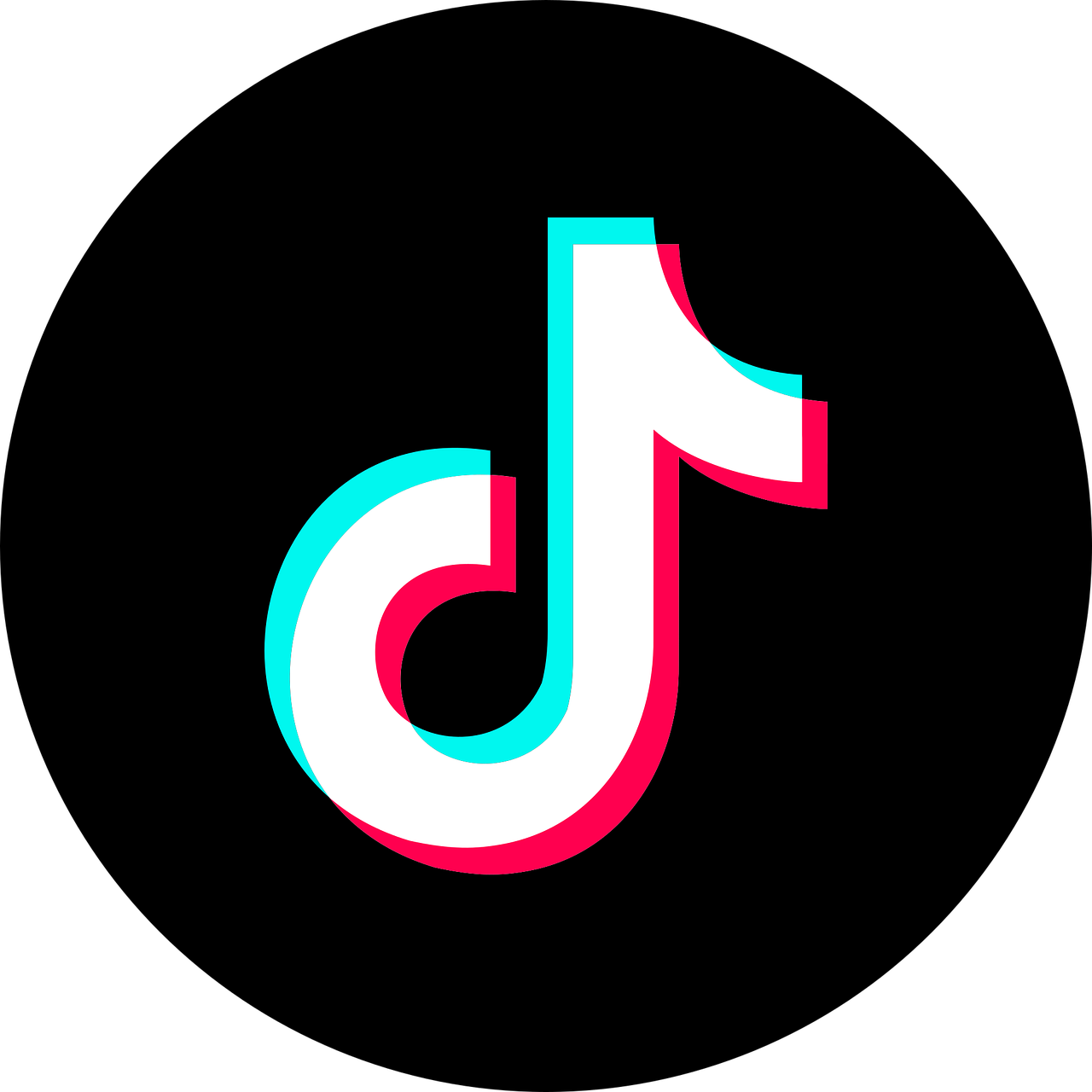TikTok Voyanz